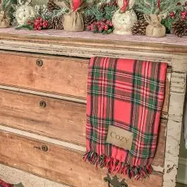 Place Order Plaid Carry Along Throw