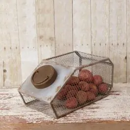 Limited Time Lidded Wire Storage Canister Bin