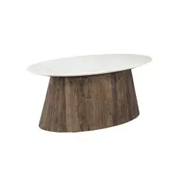 Authentic Reclaimed Wood and Marble Opal Coffee Table | SHIPS FREE
