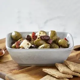 Stoneware Rectangular Side Bowl Set of 4 Certified