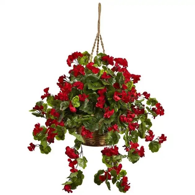 Get Yours Indoor/Outdoor UV-Resistant Geranium Hanging Basket