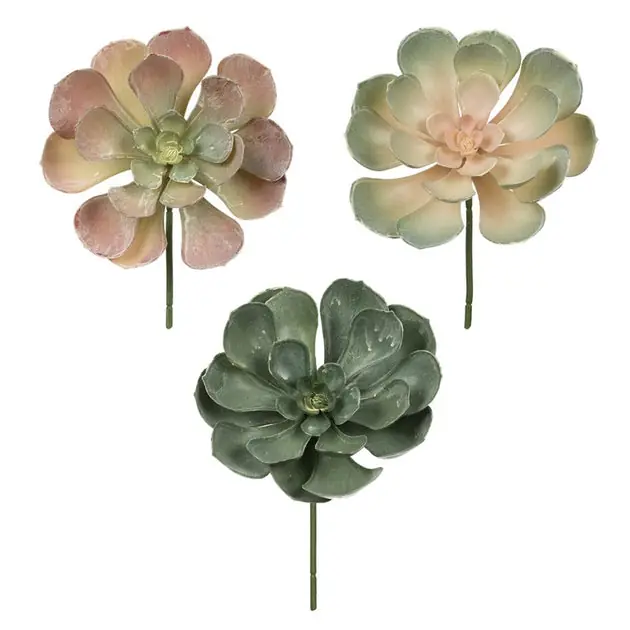 8.5" Artificial Peperomia Succulents Assorted 6-Pack Affordable