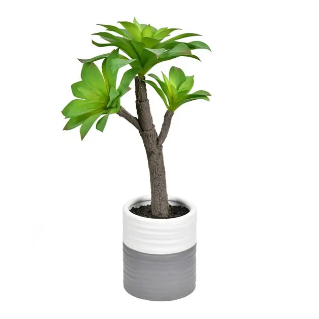 Modern 15" Artificial Succulent in Ceramic Pot